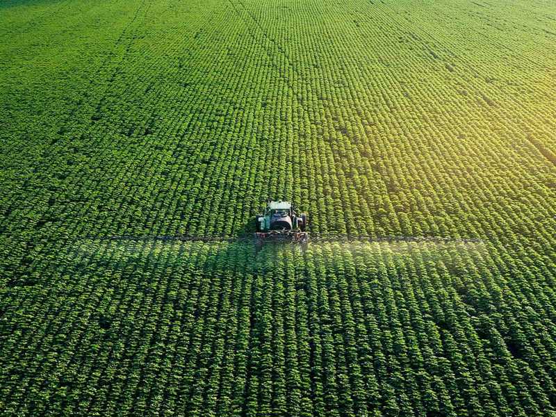ASOS Won the International Tender for the Fertilizer Plant to be Established in Russia